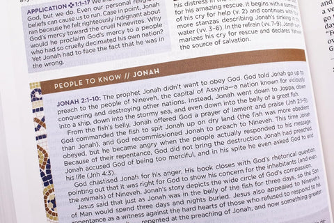 NIV Application Bible, Hardcover, Multi-Cream, Red Letter, Comfort Print