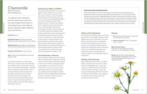 Herbal Gut Health: Natural Therapies to Promote Healthy Digestion, Boost Your Microbiome, and Support Gut Repair by Maria Noel Groves