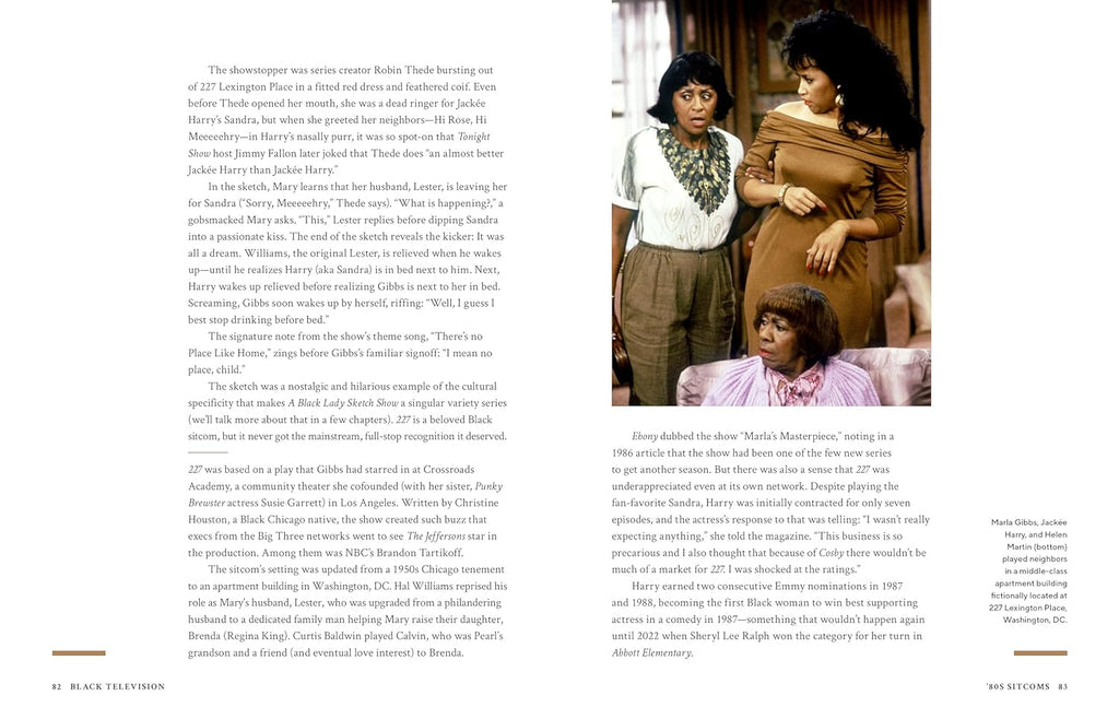 Black TV: Five Decades of Groundbreaking Television from Soul Train to Black-ish and Beyond by Bethonie Butler