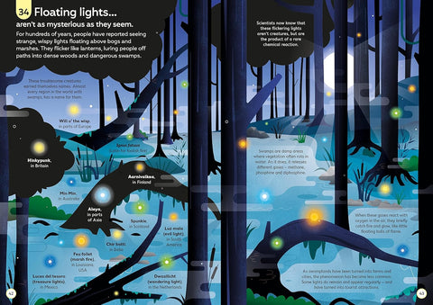 100 Things to Know About the Unknown by Jerome Martin, Lan Cook