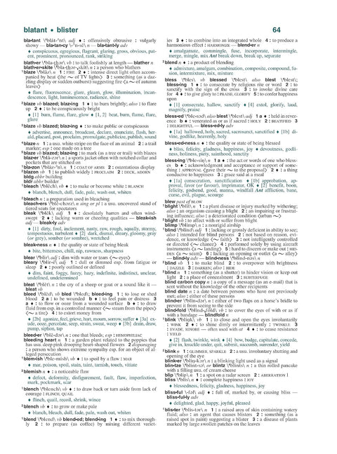 Webster's All-In-One Dictionary and Thesaurus, Third Edition