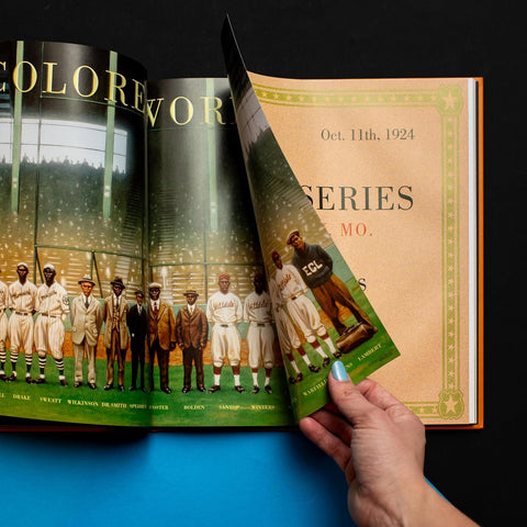 We Are the Ship: The Story of Negro League Baseball by Kadir Nelson