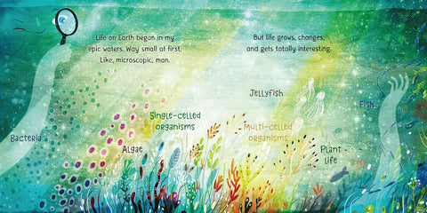 Ocean! Waves for All (Our Universe, 4) by Stacy McAnulty, David Litchfield