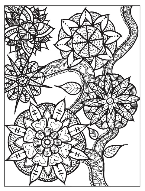 Zendala Coloring Book by Lynne Medsker