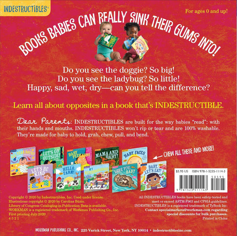 Indestructibles: Big and Little: A Book of Opposites by Amy Pixton, Carolina Buzio (Illustrator)