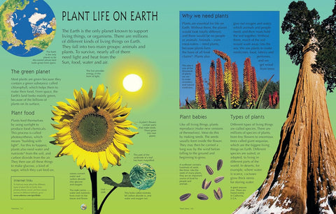 Usborne Encyclopedia of Planet Earth by Anna Claybourne, Gillian Doherty