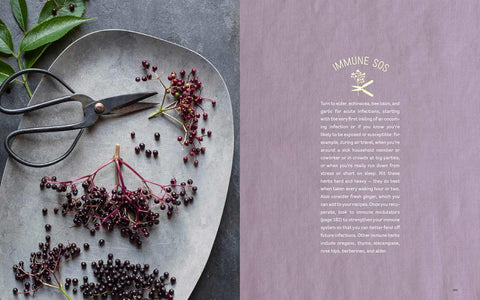 Grow Your Own Herbal Remedies: How to Create a Customized Herb Garden to Support Your Health & Well-Being by Maria Noel Groves