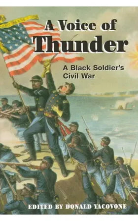 A Voice of Thunder: A Black Soldier's Civil War by George Stephens, Donald Yacovone (Editors)