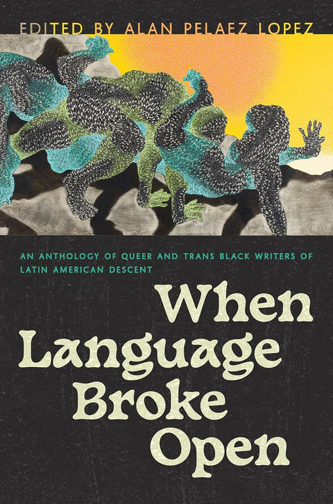 When Language Broke Open: An Anthology of Queer and Trans Black Writers of Latin American Descent (Camino del Sol) by Alan Pelaez Lopez (Editor)