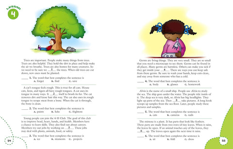 Reading Skills: Grade 2 Paperback – Flash Kids Editors (Editor)