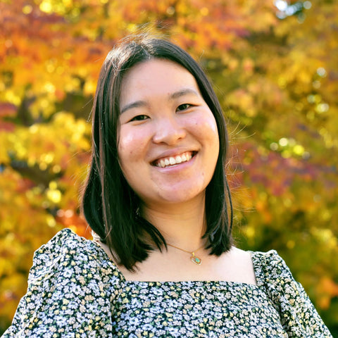 Lunar New Year (My Little Golden Book About...) by Mary Man-Kong (Author), Michelle Jing Chan (Illustrator)