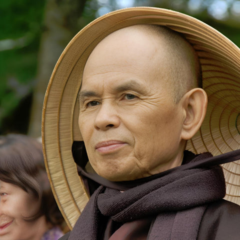 -Pre-Order 10/29- The Sun My Heart: The Companion to The Miracle of Mindfulness by Thich Nhat Hanh