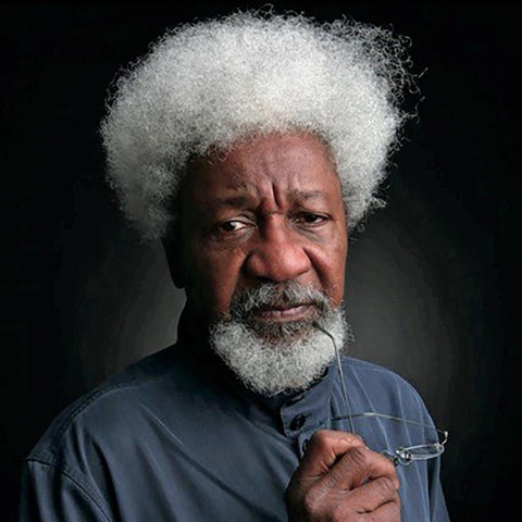 -Pre-Order 2025/01/14- The Interpreters by Wole Soyinka