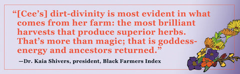 *PRE-ORDER (6/9/26 RELEASE)* The Black Girl’s Guide To Building A Boutique Farm: Practical Advice To Keep Your Business Cute, Profitable, And Sustainable by Cee Stanley