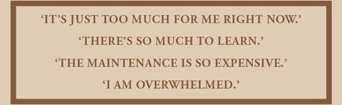 How to Love Your Afro: Your Holistic Natural Hair and Self-Love Guide – from the Host of the Texture Talks Podcast by Paige Lewin