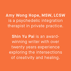 Small Doses of Awareness: A Microdosing Companion - Guided Journal by Shin Yu Pai, Amy Wong Hope