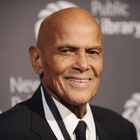 We Are the Change: Words of Inspiration from Civil Rights Leaders by Harry Belafonte