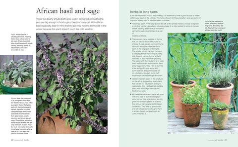 Grow Your Own Food: 35 Ways to Grow Vegetables, Fruits, and Herbs in Containers - Deborah Schneebeli-Morrell