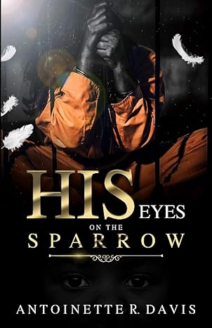 His Eyes are On the Sparrow by Ms. Antoinette R Davis (Paperback)