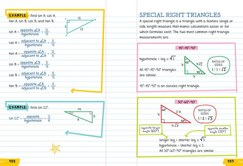 Everything You Need to Ace Geometry in One Big Fat Notebook by Christy Needham