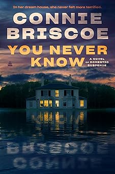You Never Know: A Novel of Domestic Suspense by Connie Briscoe (Hardcover)