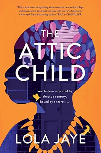 The Attic Child: A Novel by Lola Jaye - Frugal Bookstore