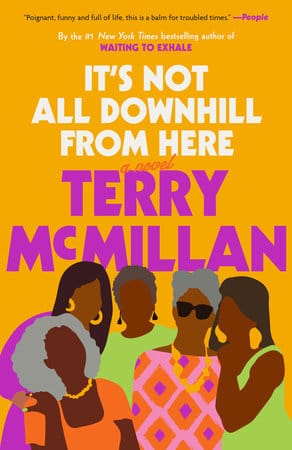 It's Not All Downhill From Here: A Novel by Terry McMillan - Frugal Bookstore